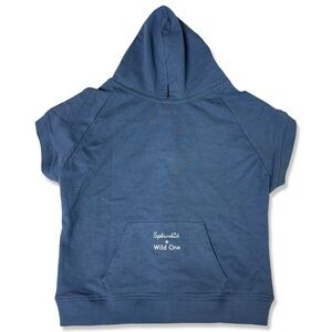 SPLENDID X WILD ONE Blue Dog Sweater